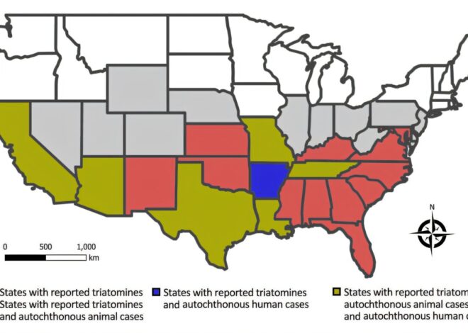 What is the ‘kissing bug’ disease, and should Texans be worried?